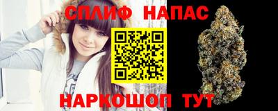 бошки Будённовск
