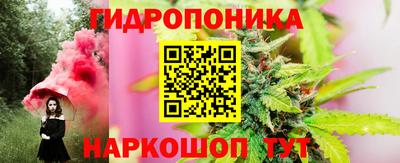бошки Будённовск