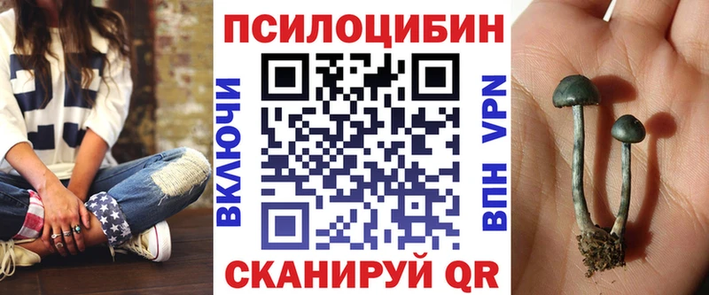 hydra как войти  Гурьевск  Псилоцибиновые грибы MAGIC MUSHROOMS  наркота 