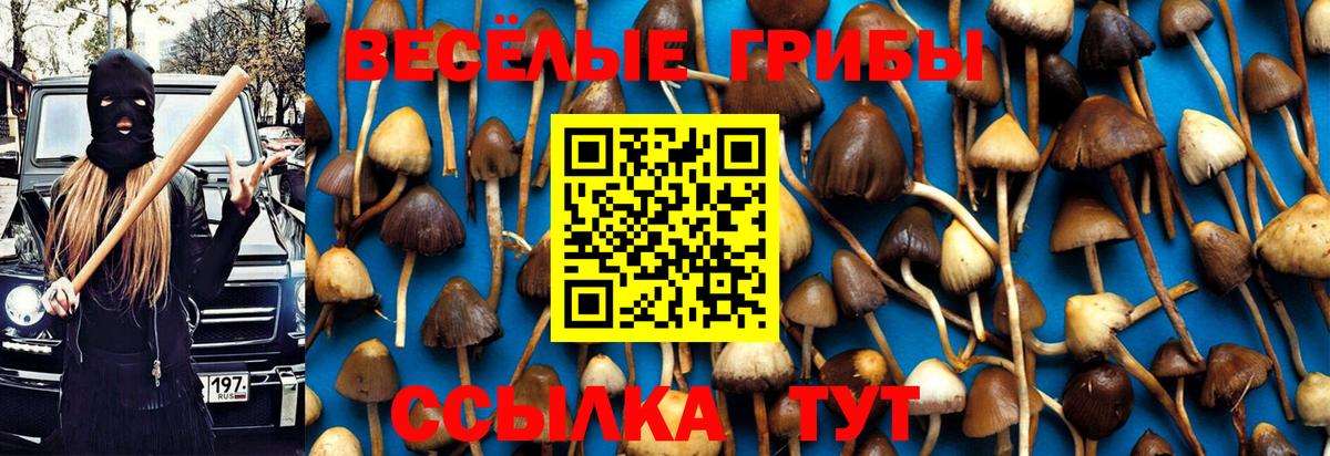 Псилоцибиновые грибы MAGIC MUSHROOMS  Вход с VPN  Псилоцибиновые грибы GOLDEN TEACHER  Гурьевск 